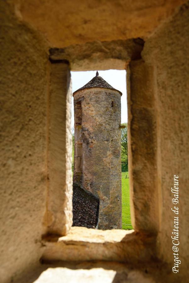 Chateau De Balleure Etrigny Luaran gambar